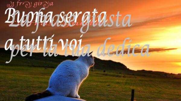 Buona serata (Gatto) | La frase giusta